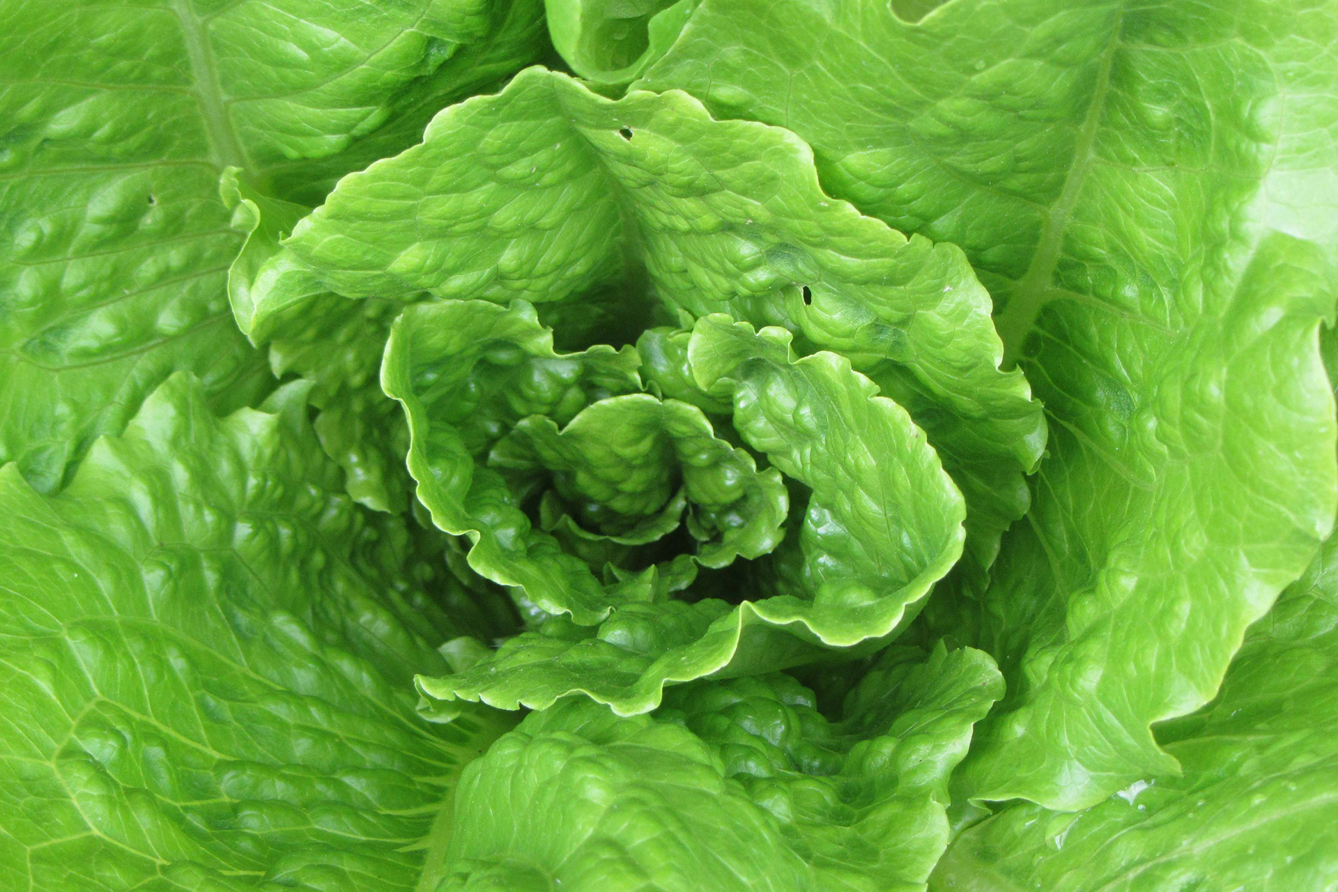 Agrícola Dos Marías