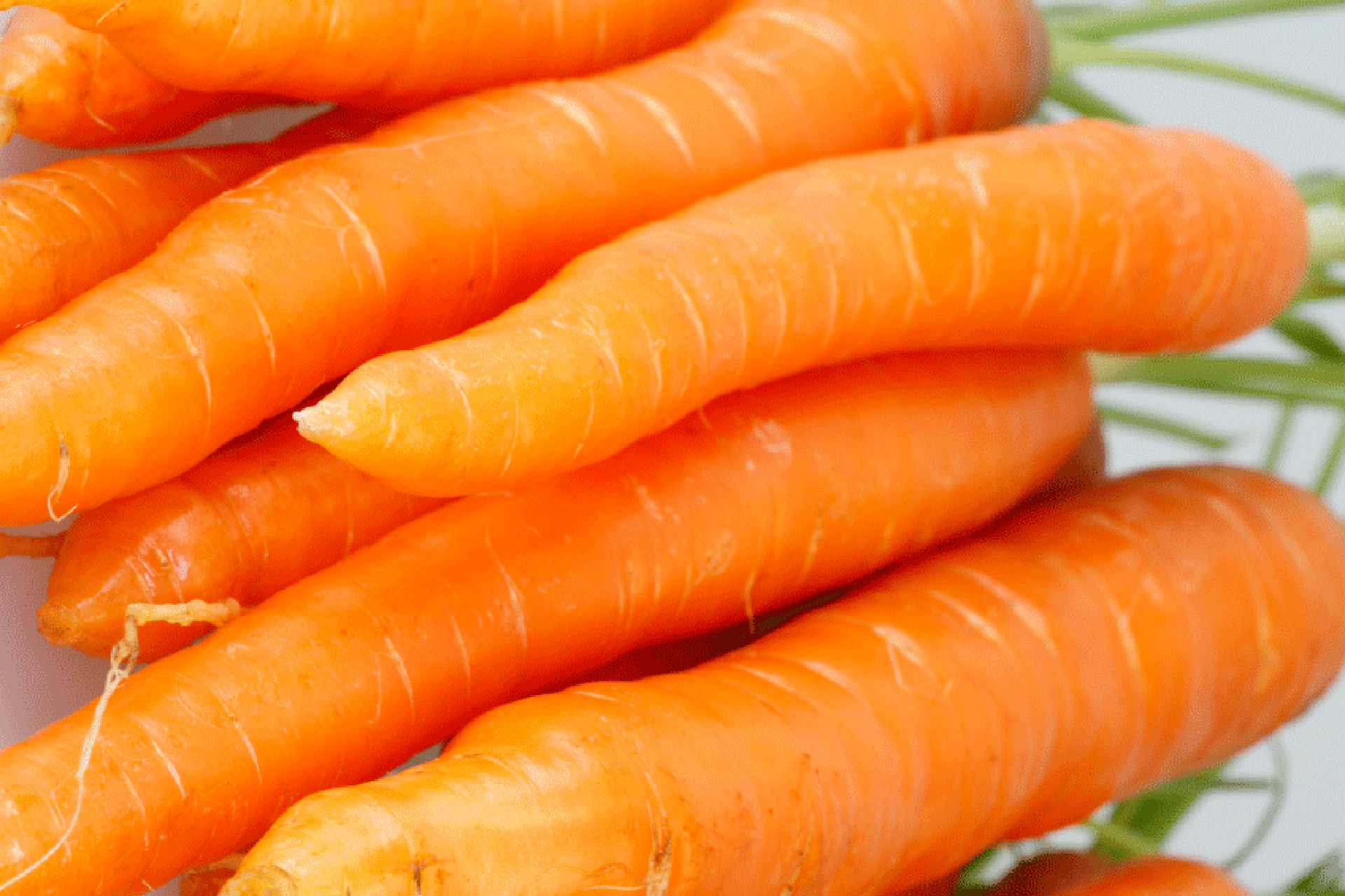 Agrícola Dos Marías