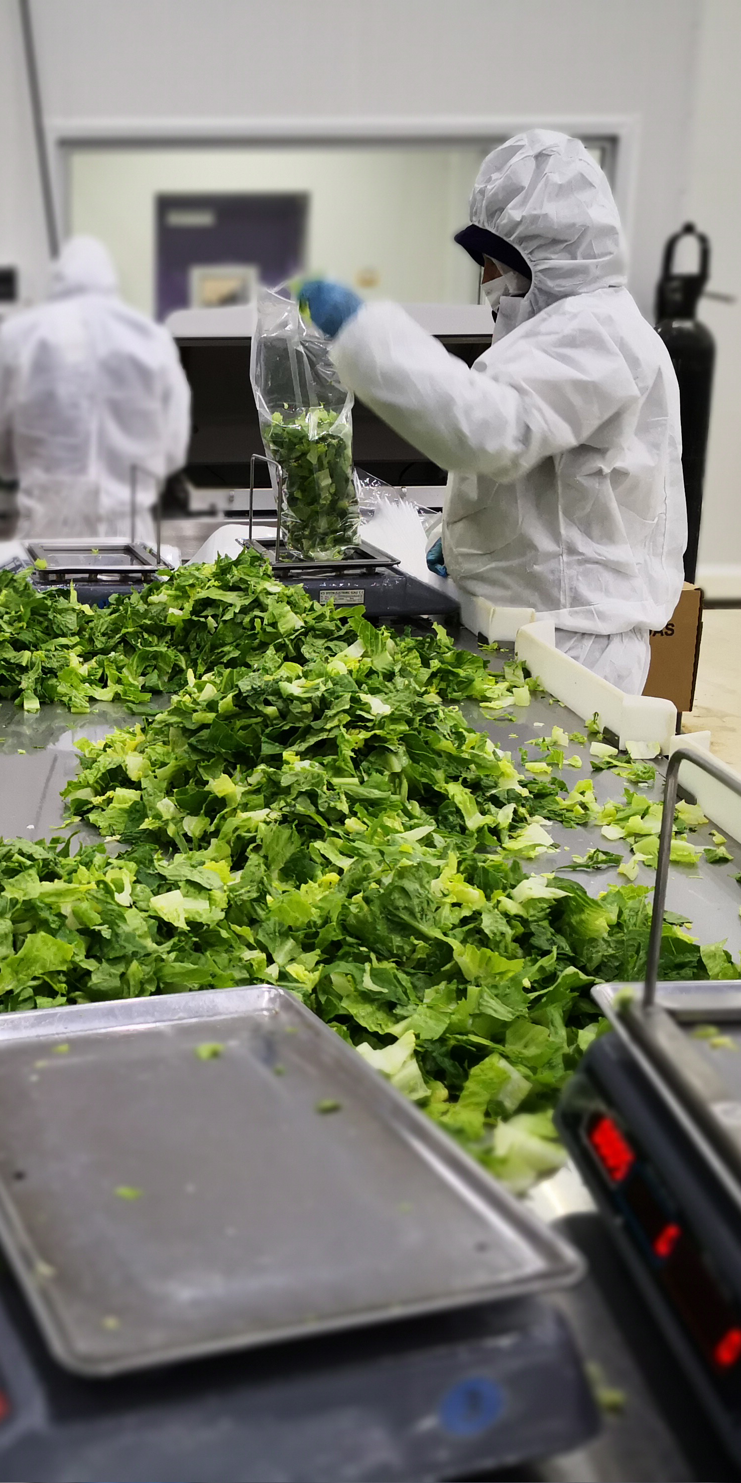 Agricola Dos Marías