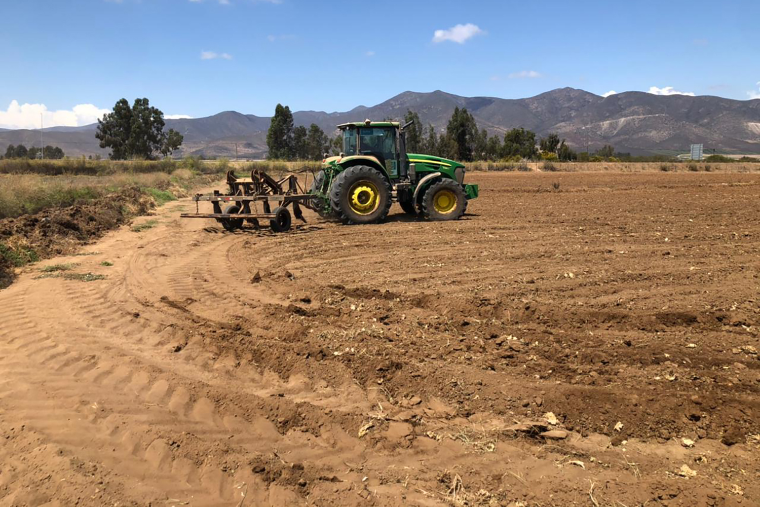 Preparación del Suelo