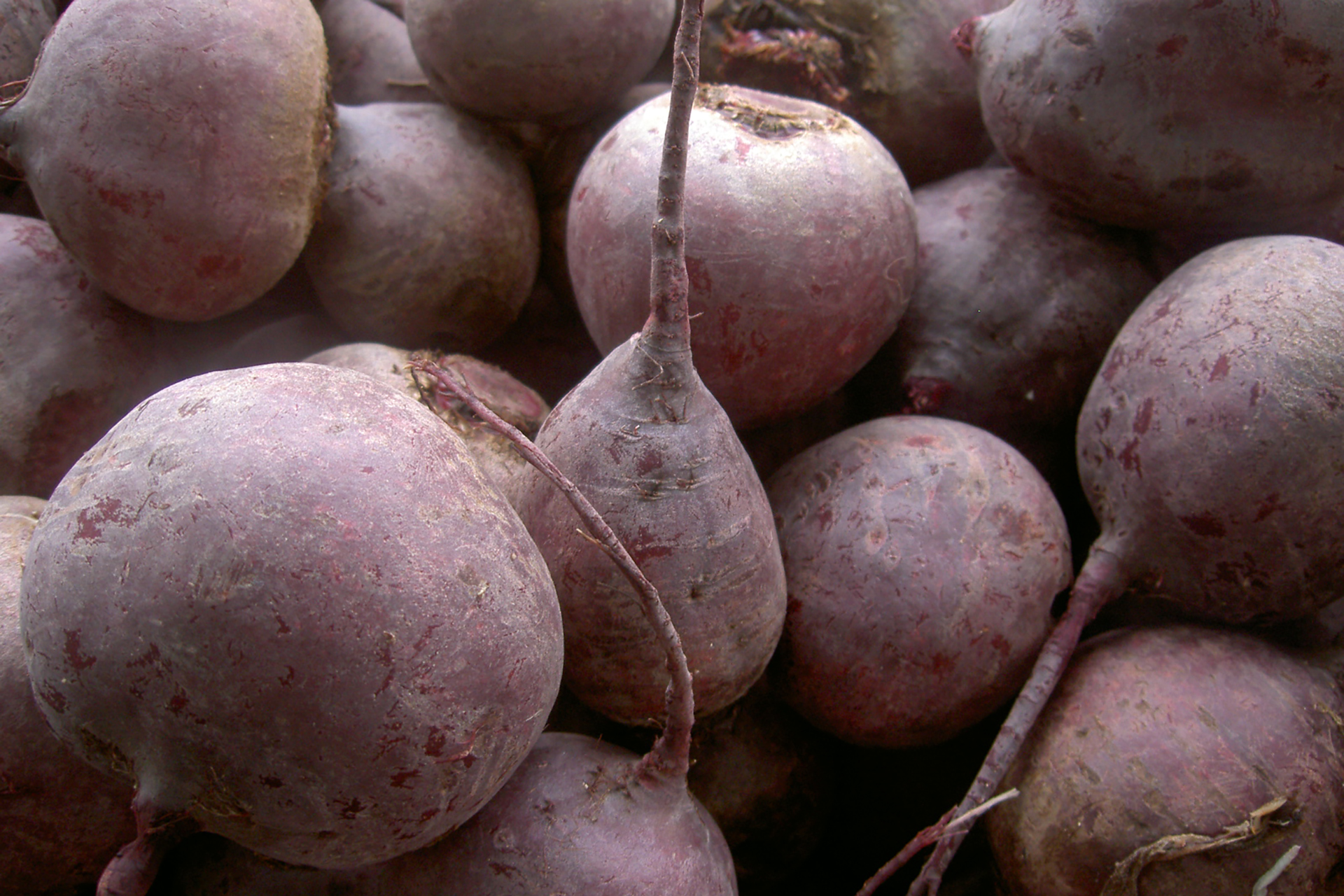 Agrícola Dos Marías