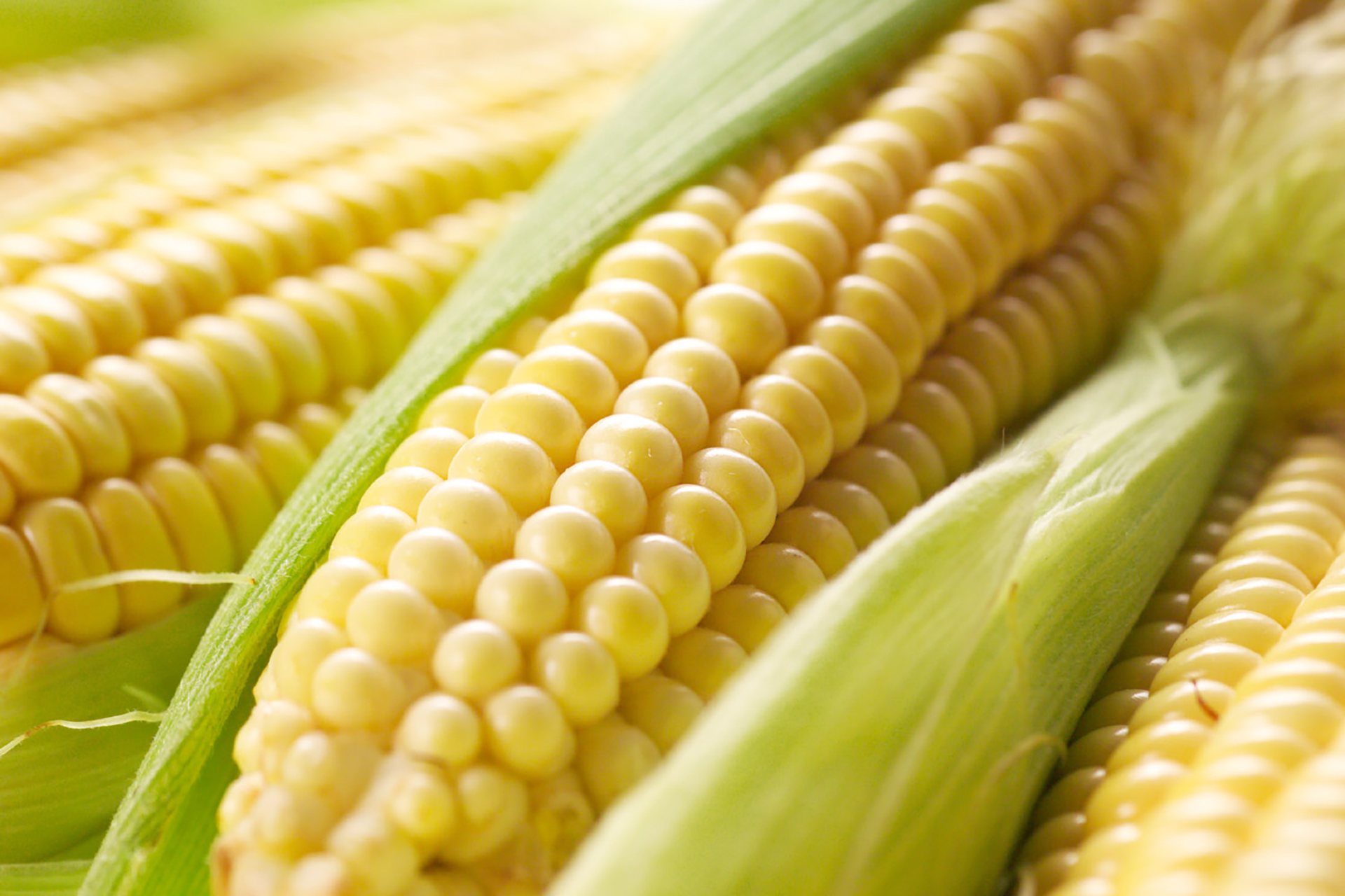 Agrícola Dos Marías