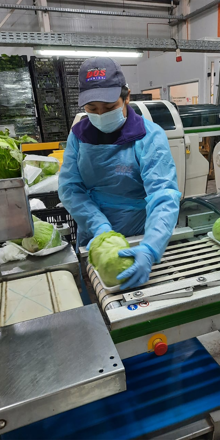 Agricola Dos Marías