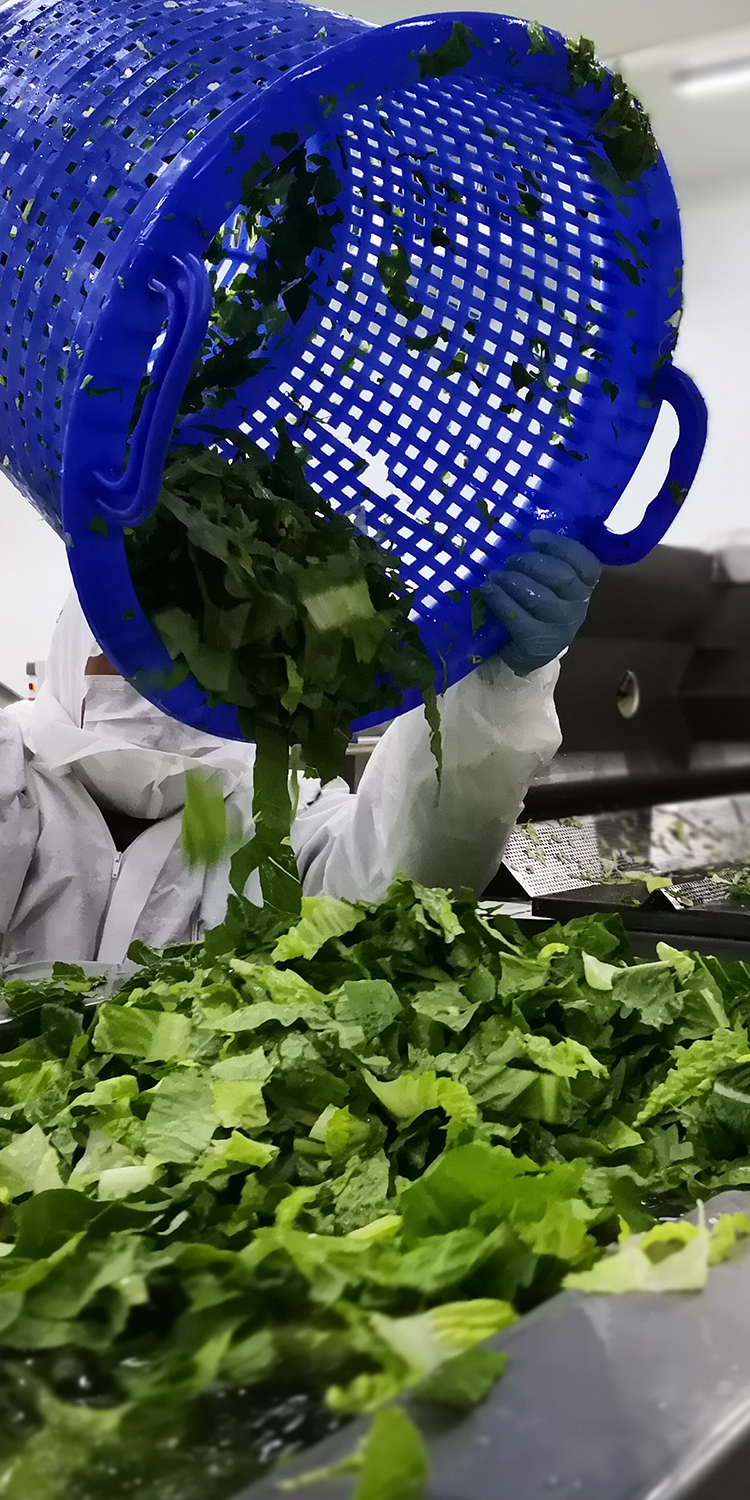 Agricola Dos Marías