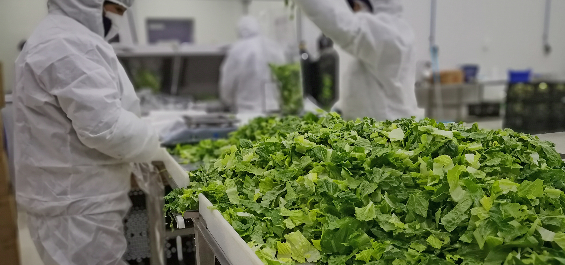 Agrícola Dos Marias
