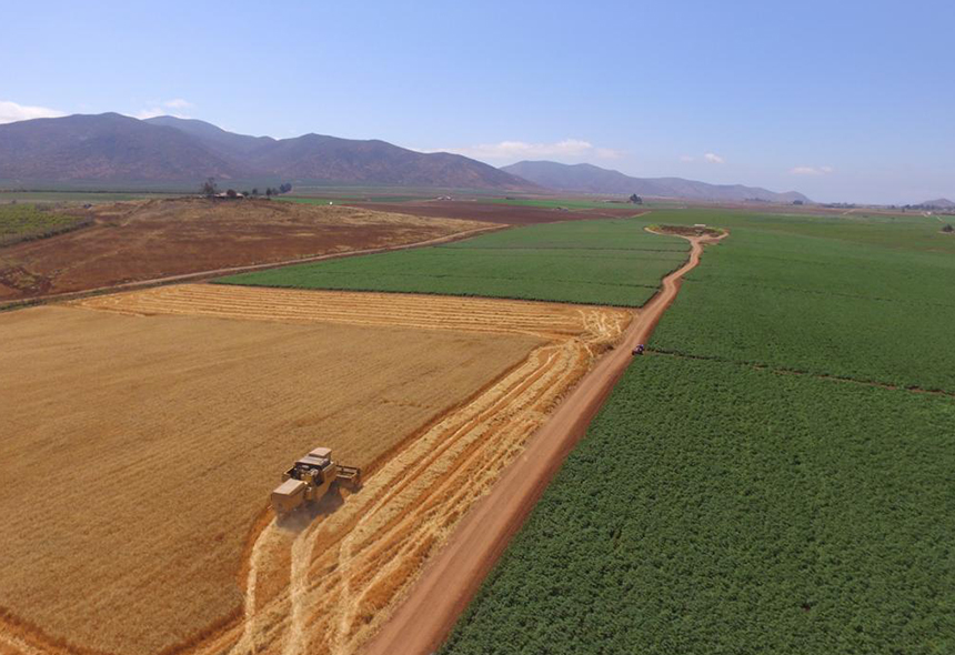 Agrícola Dos Marías