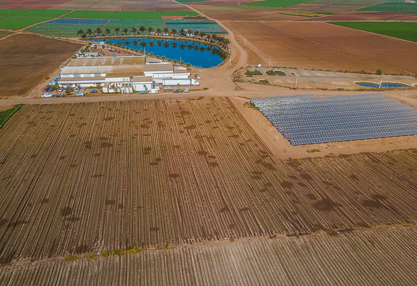 Agrícola Dos Marías