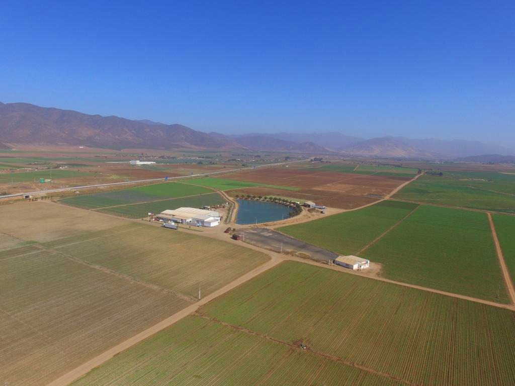 agrciola dos marias