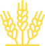 Agrícola Dos Marias